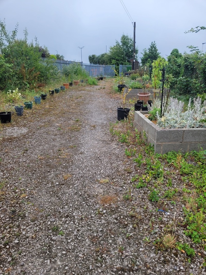 Other image for Barnsley’s best garden: How digging deep has been group’s only option
